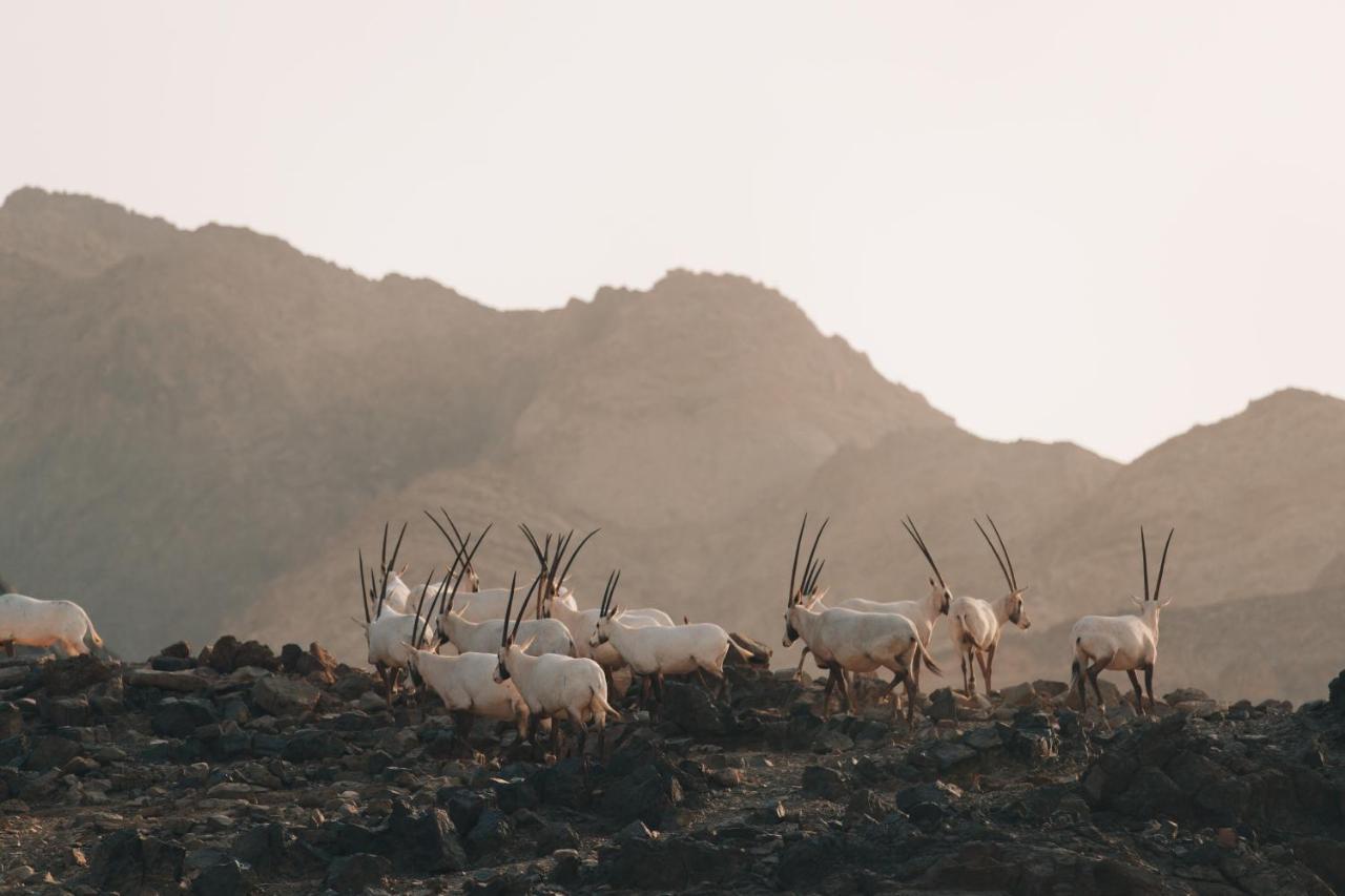 Hatta Resorts 외부 사진